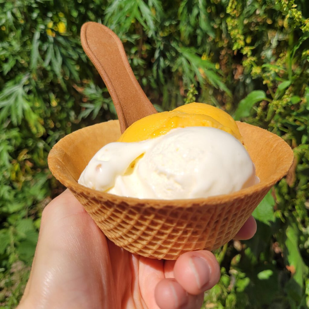 Eis von FrauMeis in einem Waffelbecher mit essbärem Löffel