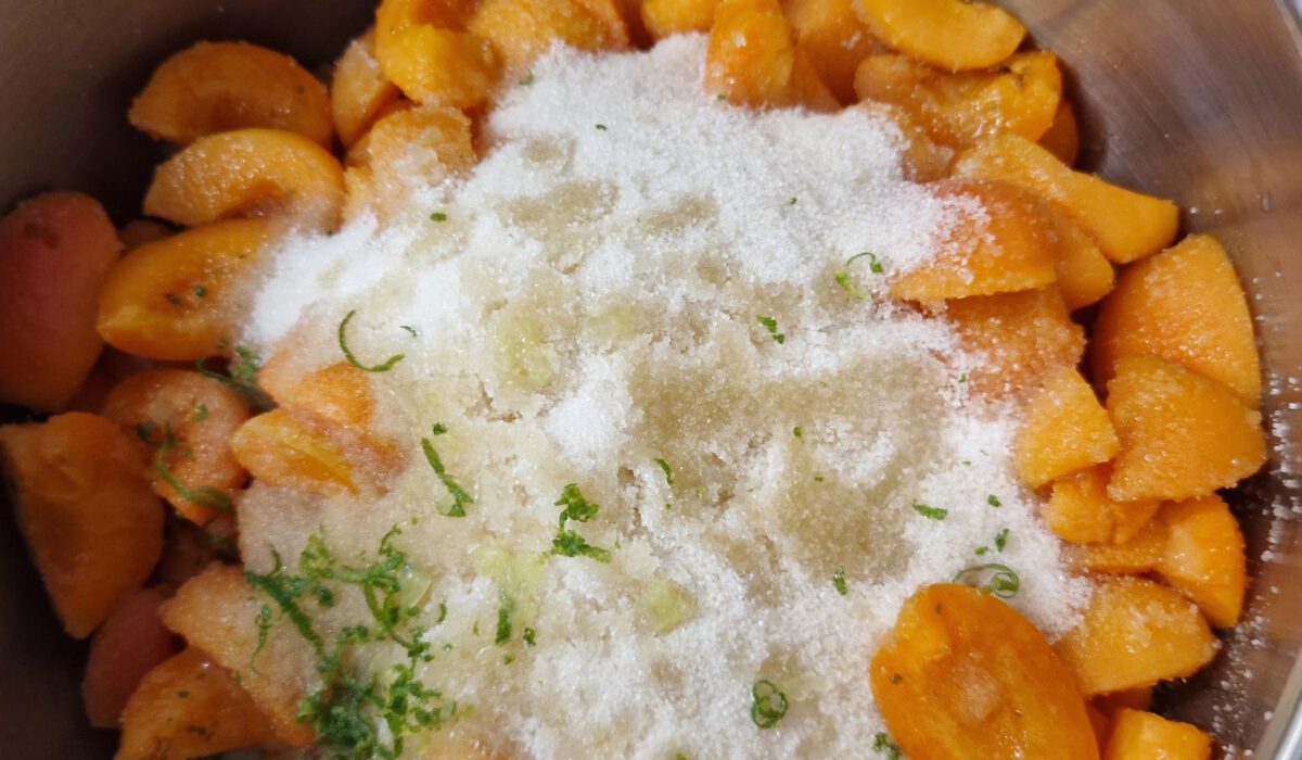 Eisküche Aprikosensauce (2)