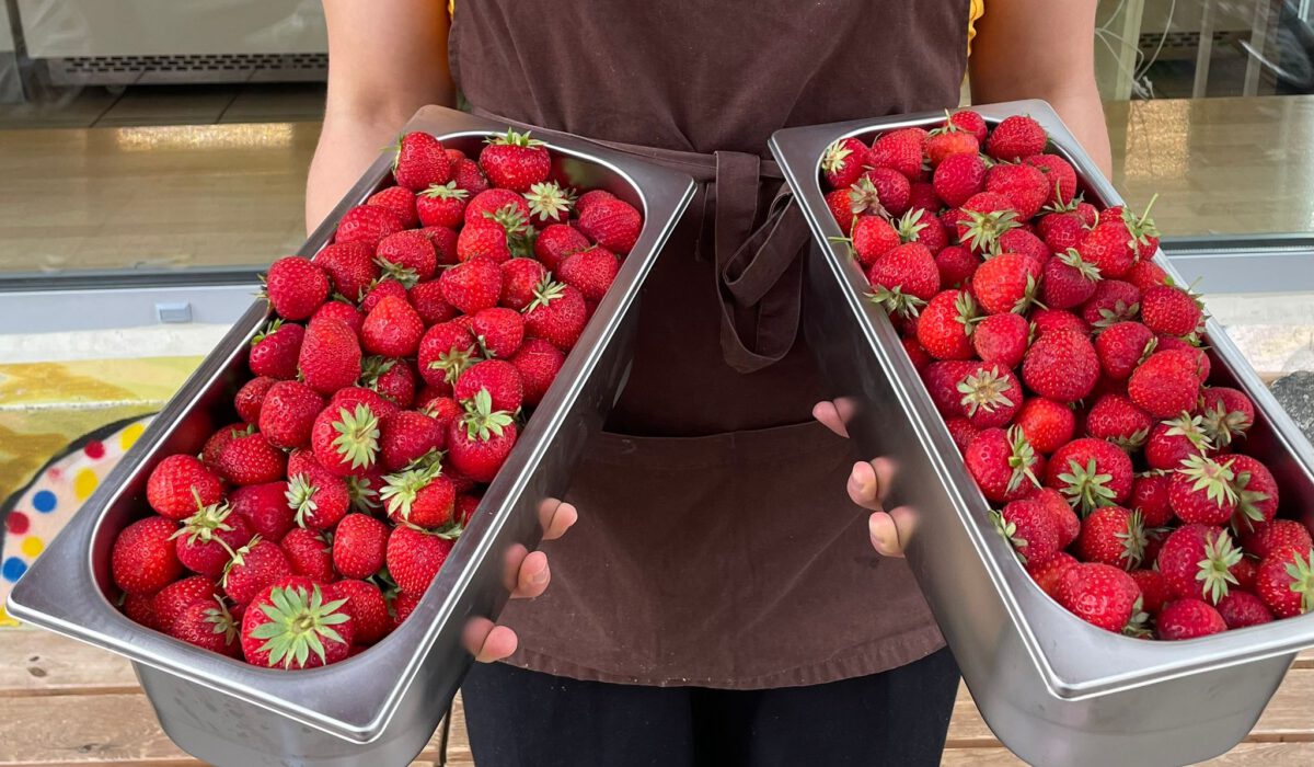 Zwei Eiswannen voller frischer Erdbeeren
